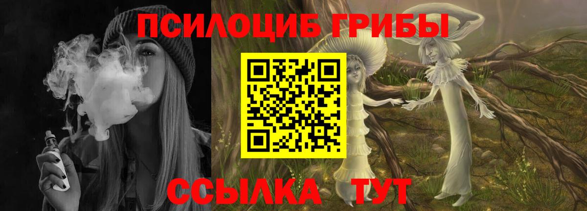 Галлюциногенные грибы мухоморы  Вход с VPN  Железноводск 